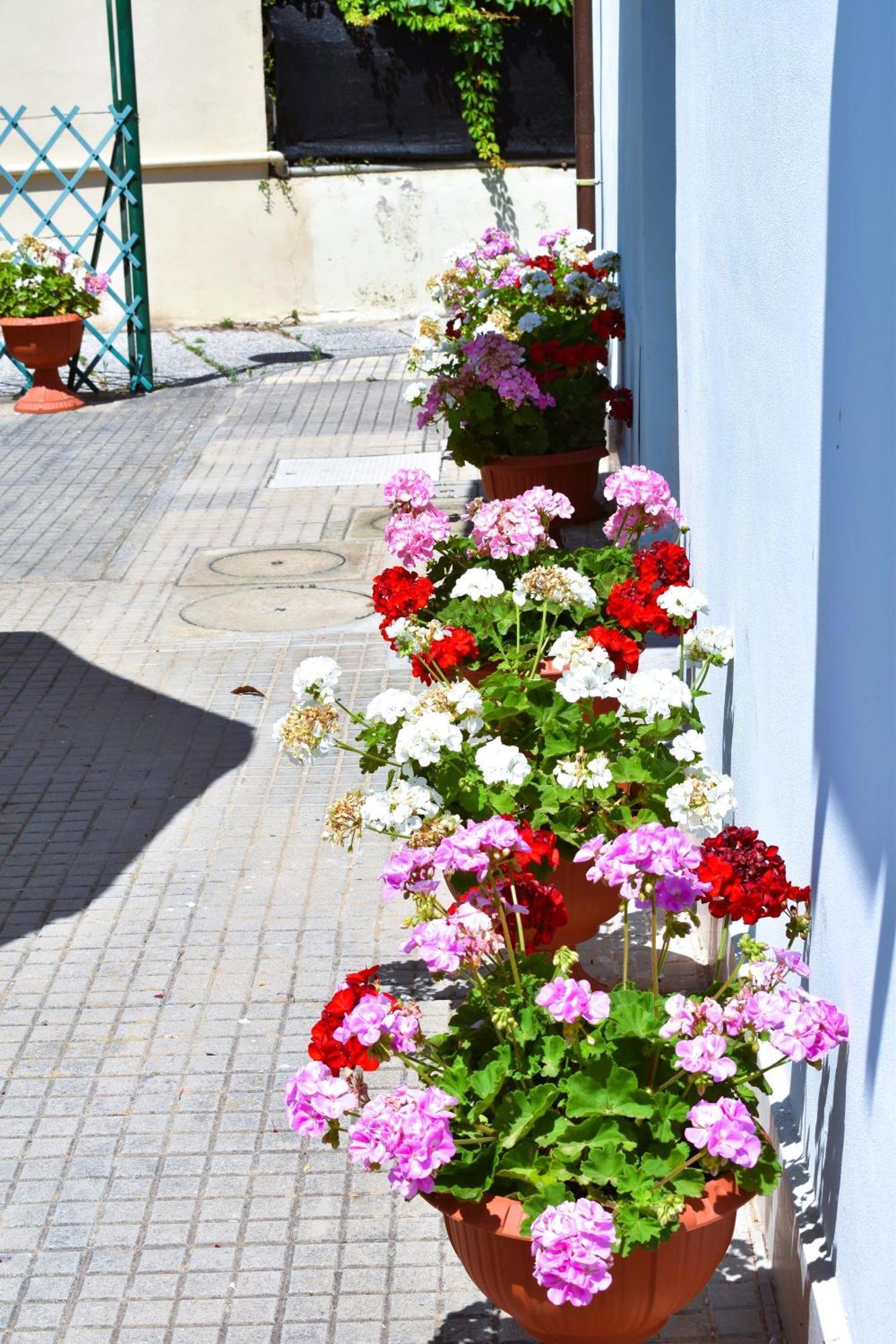 Villino La Perla Azzurra- Marina Di Pisa Βίλα Εξωτερικό φωτογραφία